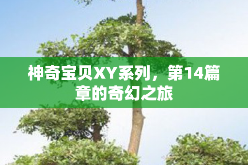 第14篇章的奇幻之旅图片