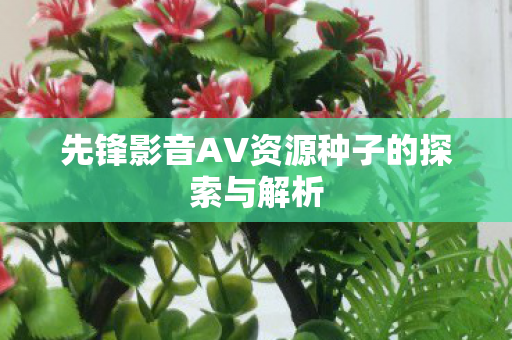 先锋影音AV资源种子的探索与解析图片