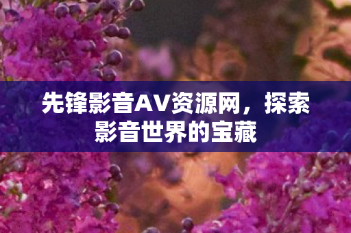 先锋影音AV资源网图片