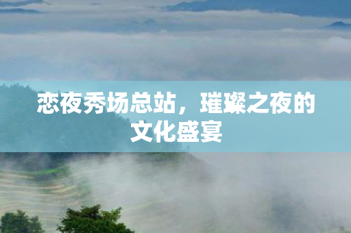 璀璨之夜的文化盛宴图片