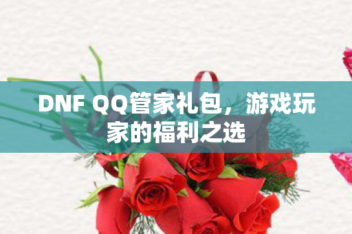 DNF QQ管家礼包图片