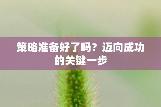 迈向成功的关键一步图片