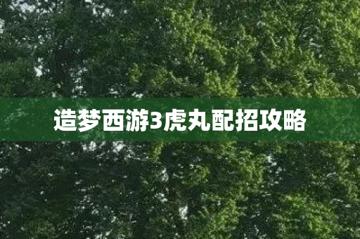 造梦西游3虎丸配招攻略图片