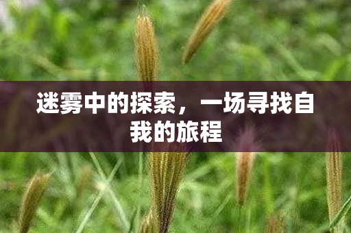 一场寻找自我的旅程图片