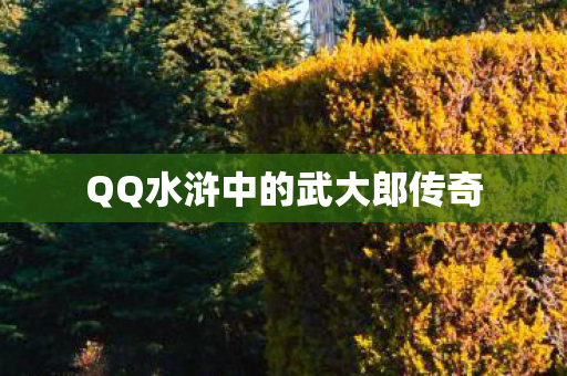 QQ水浒中的武大郎传奇图片