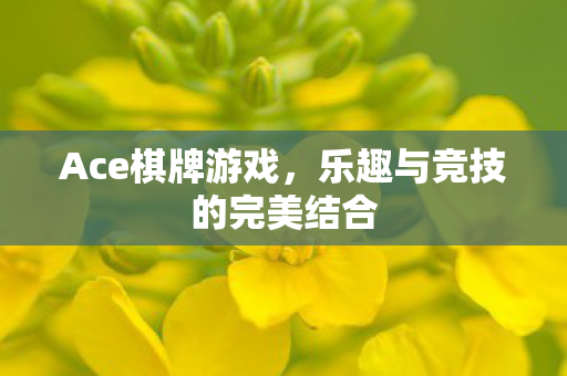 乐趣与竞技的完美结合图片