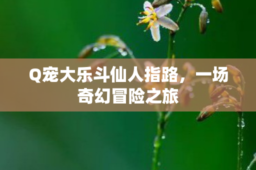 Q宠大乐斗仙人指路图片