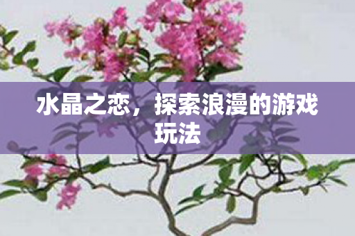探索浪漫的游戏玩法图片