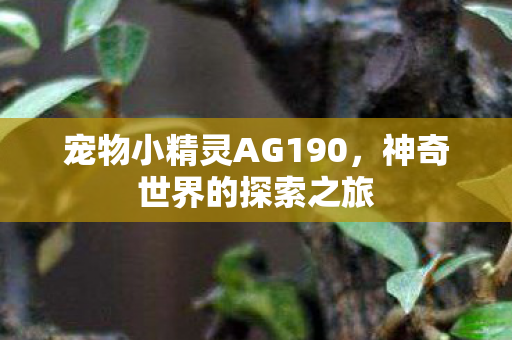 宠物小精灵AG190图片