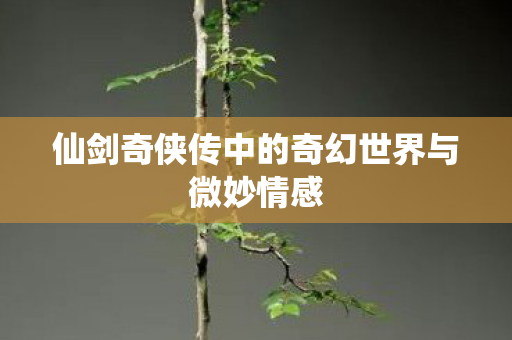 仙剑奇侠传中的奇幻世界与微妙情感图片