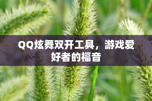 QQ炫舞双开工具图片