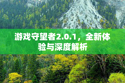 全新体验与深度解析图片