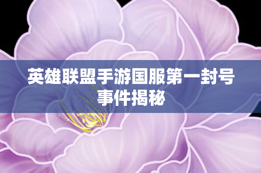 英雄联盟手游国服第一封号事件揭秘图片