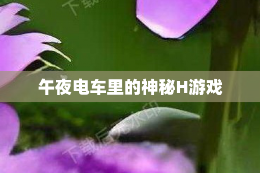 午夜电车里的神秘H游戏图片