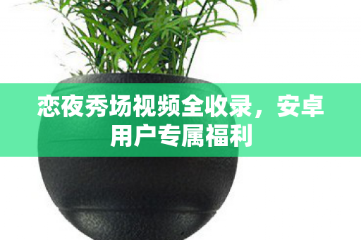 恋夜秀场视频全收录图片
