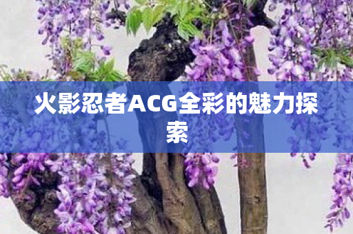 火影忍者ACG全彩的魅力探索图片