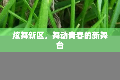 舞动青春的新舞台图片