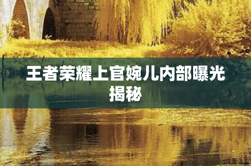 王者荣耀上官婉儿内部曝光揭秘图片