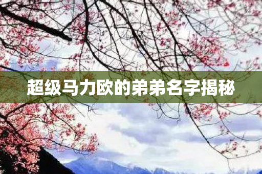 超级马力欧的弟弟名字揭秘图片