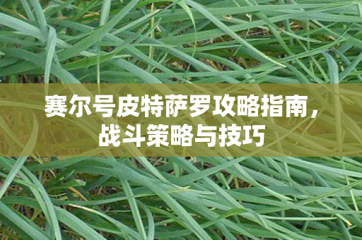 赛尔号皮特萨罗攻略指南图片