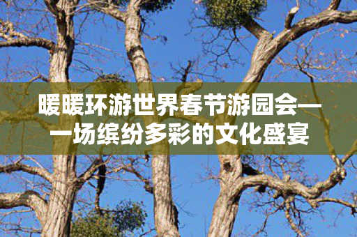 暖暖环游世界春节游园会图片