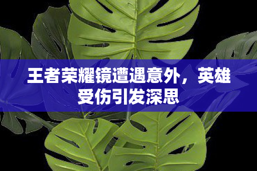 王者荣耀镜遭遇意外图片
