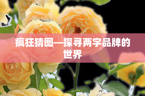 探寻两字品牌的世界图片