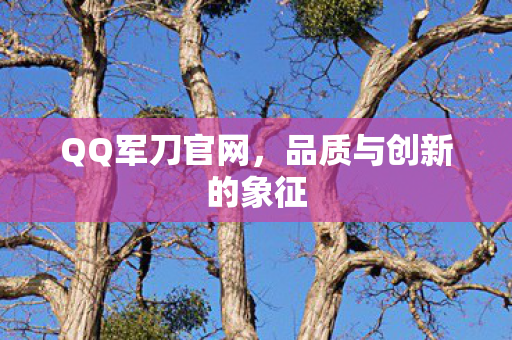 品质与创新的象征图片