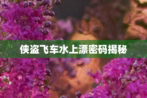 侠盗飞车水上漂密码揭秘图片