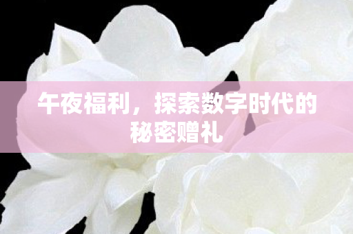 探索数字时代的秘密赠礼图片