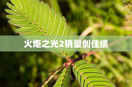 火炬之光2销量创佳绩图片