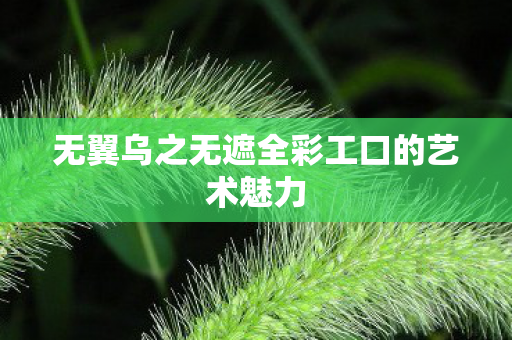 无翼乌之无遮全彩工口的艺术魅力图片