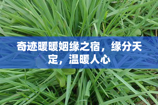 奇迹暖暖姻缘之宿图片