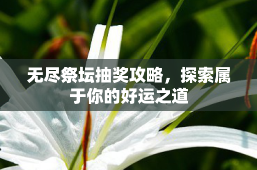 探索属于你的好运之道图片