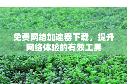 提升网络体验的有效工具图片