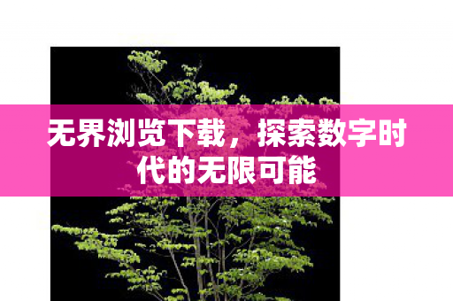 探索数字时代的无限可能图片