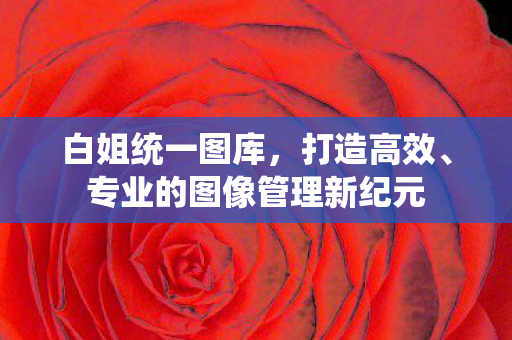 专业的图像管理新纪元图片