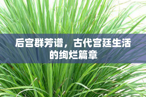 古代宫廷生活的绚烂篇章图片