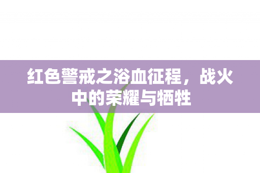 红色警戒之浴血征程图片