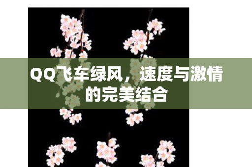 速度与激情的完美结合图片