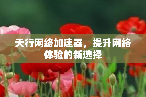 提升网络体验的新选择图片