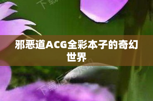 邪恶道ACG全彩本子的奇幻世界图片