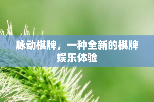 一种全新的棋牌娱乐体验图片