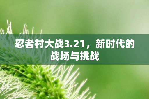 新时代的战场与挑战图片