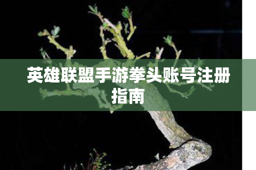 英雄联盟手游拳头账号注册指南图片