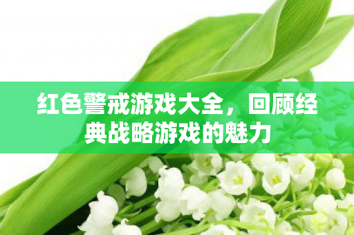 回顾经典战略游戏的魅力图片