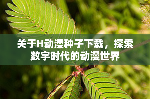 探索数字时代的动漫世界图片