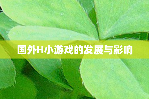 国外H小游戏的发展与影响图片