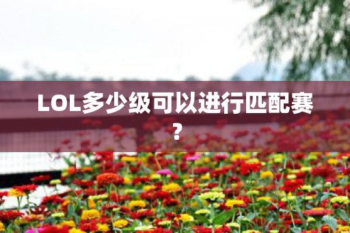 LOL多少级可以进行匹配赛图片