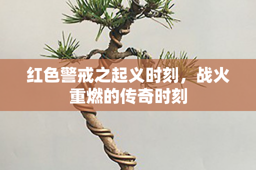 红色警戒之起义时刻图片